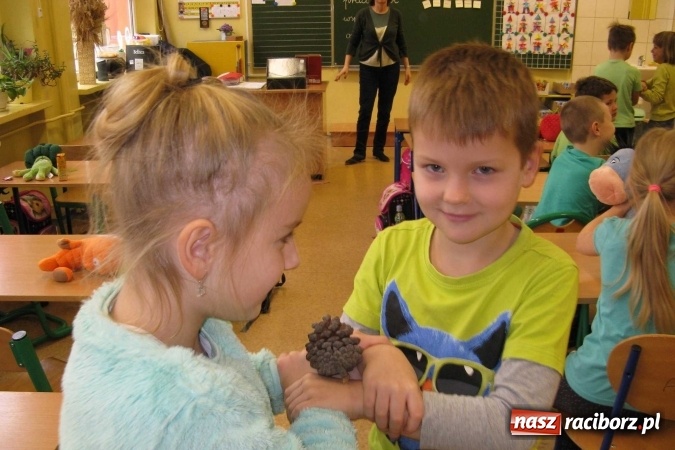 Zdjęcie w galerii na portalu naszraciborz.pl: Myślę, doceniam – dobrze wybieram! – Dni Profilaktyki w Szkole Podstawowej nr 15 wiadomości z regionu