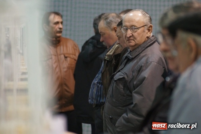 Zdjęcie w galerii na portalu naszraciborz.pl: Hodowcy z regionu wystawili swoje piękności w Nędzy wiadomości z regionu