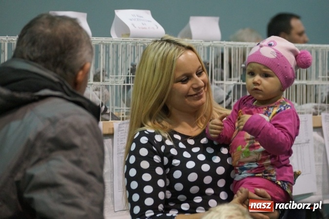 Zdjęcie w galerii na portalu naszraciborz.pl: Hodowcy z regionu wystawili swoje piękności w Nędzy wiadomości z regionu