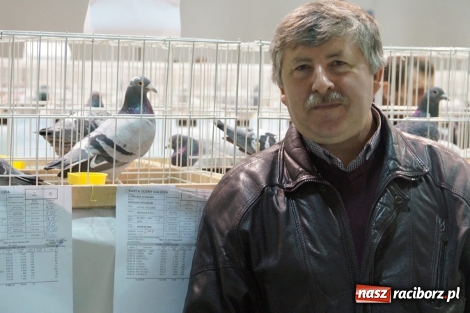 Zdjęcie w galerii na portalu naszraciborz.pl: Hodowcy z regionu wystawili swoje piękności w Nędzy wiadomości z regionu