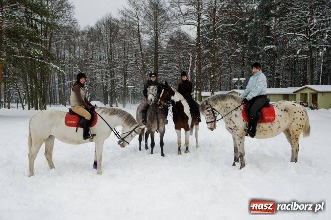 Zdjęcie w galerii na portalu naszraciborz.pl: Ferie w siodle - ruszyły zapisy wiadomości z regionu