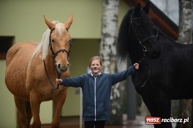 Zdjęcie w galerii na portalu naszraciborz.pl: Ferie w siodle - ruszyły zapisy wiadomości z regionu