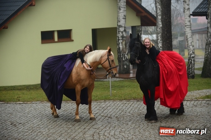 Zdjęcie w galerii na portalu naszraciborz.pl: Ferie w siodle - ruszyły zapisy wiadomości z regionu