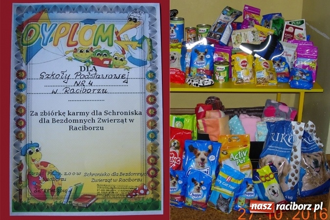 Zdjęcie w galerii na portalu naszraciborz.pl: Czwórka na rzecz schroniska dla zwierząt w Raciborzu  wiadomości z regionu