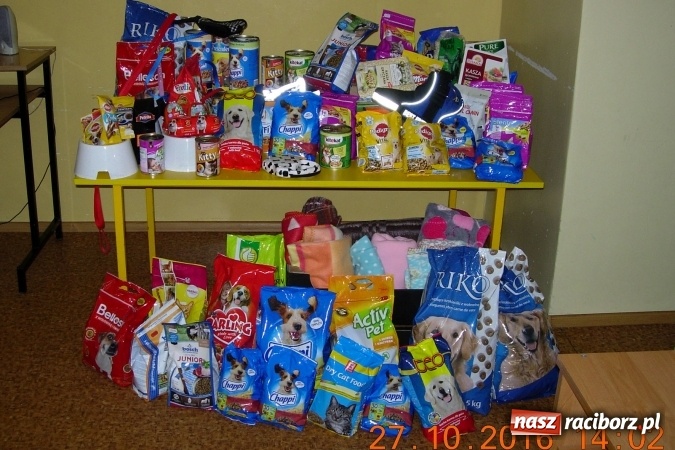 Zdjęcie w galerii na portalu naszraciborz.pl: Czwórka na rzecz schroniska dla zwierząt w Raciborzu  wiadomości z regionu