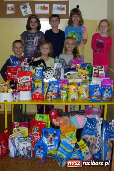 Zdjęcie w galerii na portalu naszraciborz.pl: Czwórka na rzecz schroniska dla zwierząt w Raciborzu  wiadomości z regionu