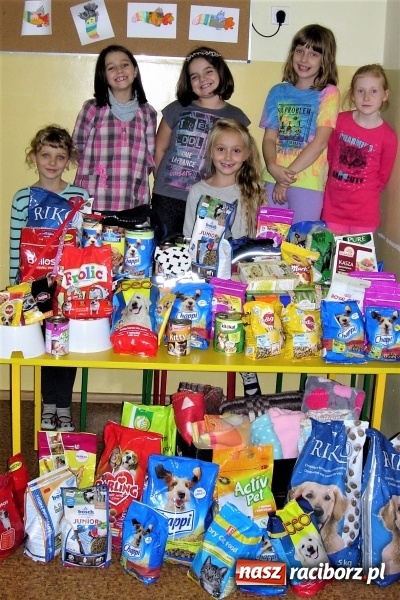 Zdjęcie w galerii na portalu naszraciborz.pl: Czwórka na rzecz schroniska dla zwierząt w Raciborzu  wiadomości z regionu