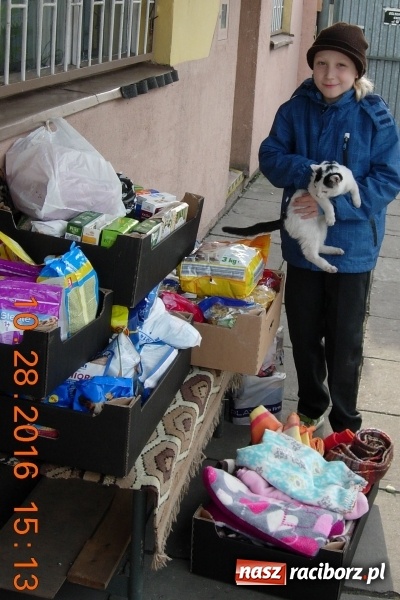 Zdjęcie w galerii na portalu naszraciborz.pl: Czwórka na rzecz schroniska dla zwierząt w Raciborzu  wiadomości z regionu