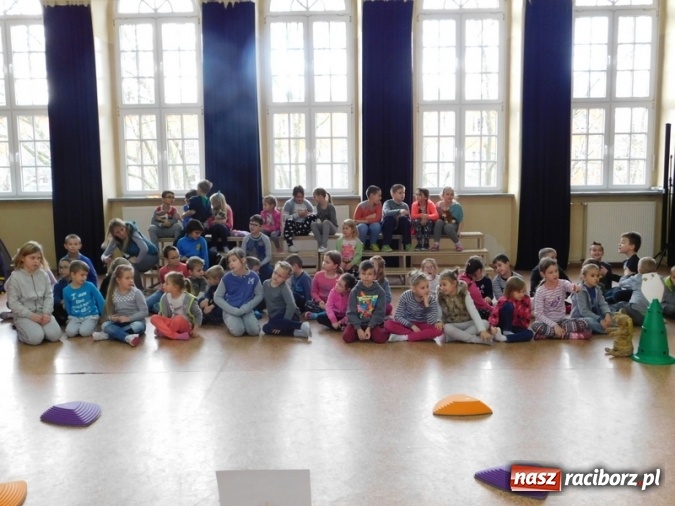 Zdjęcie w galerii na portalu naszraciborz.pl: Misiowa Olimpiada w Szkole Podstawowej nr 4  wiadomości z regionu