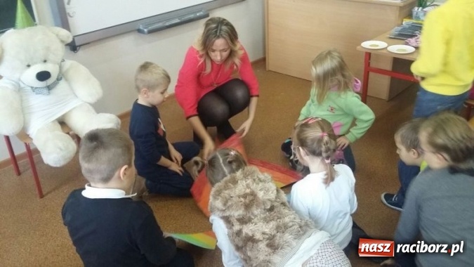 Zdjęcie w galerii na portalu naszraciborz.pl: Misiowa Olimpiada w Szkole Podstawowej nr 4  wiadomości z regionu