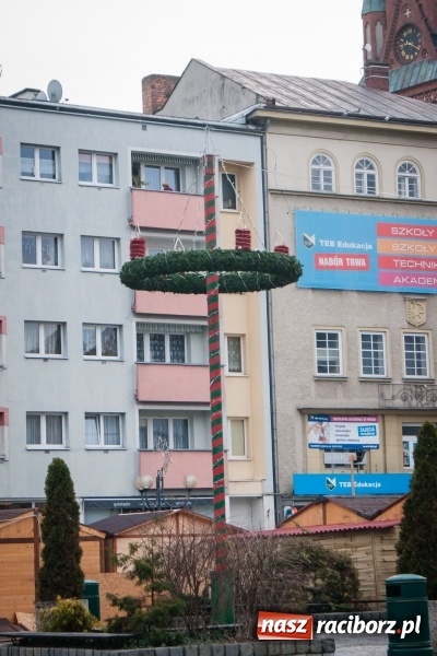 Zdjęcie w galerii na portalu naszraciborz.pl: Choinka... z drutu. A gdzie jest prawdziwa? - pyta radny wiadomości z regionu