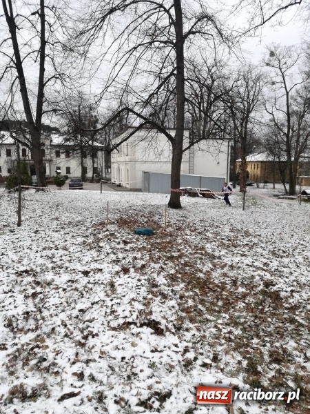 Zdjęcie w galerii na portalu naszraciborz.pl: I miejsce MOW-u Rudy w VIII Biegach&nbsp;Terenowo-Przełajowych Hrabiego Larischa wiadomości z regionu