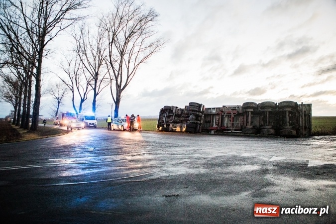 Zdjęcie w galerii na portalu naszraciborz.pl: Ciężarówka z burakami zjechała do rowu na trasie Racibórz-Bojanów  wiadomości z regionu
