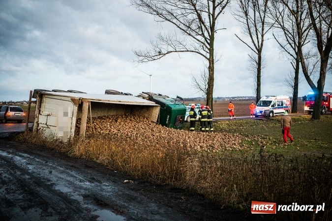 Zdjęcie w galerii na portalu naszraciborz.pl: Ciężarówka z burakami zjechała do rowu na trasie Racibórz-Bojanów  wiadomości z regionu