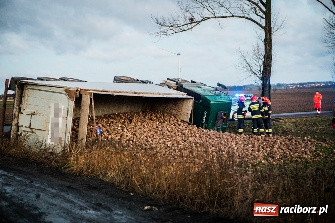 Zdjęcie w galerii na portalu naszraciborz.pl: Ciężarówka z burakami zjechała do rowu na trasie Racibórz-Bojanów  wiadomości z regionu