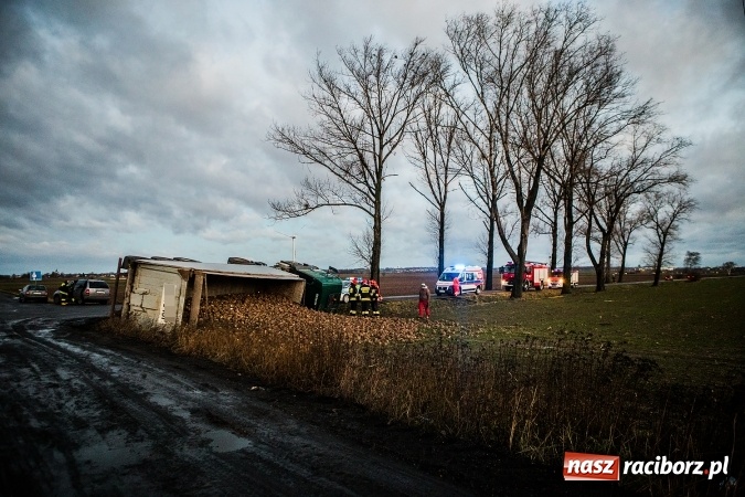 Zdjęcie w galerii na portalu naszraciborz.pl: Ciężarówka z burakami zjechała do rowu na trasie Racibórz-Bojanów  wiadomości z regionu