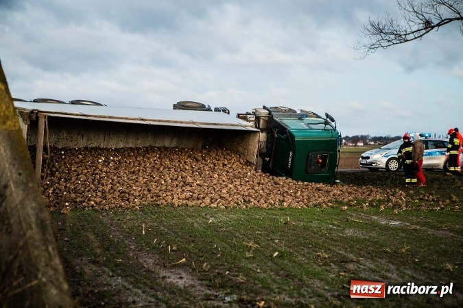 Zdjęcie w galerii na portalu naszraciborz.pl: Ciężarówka z burakami zjechała do rowu na trasie Racibórz-Bojanów  wiadomości z regionu