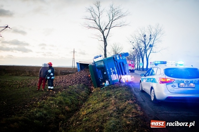 Zdjęcie w galerii na portalu naszraciborz.pl: Ciężarówka z burakami zjechała do rowu na trasie Racibórz-Bojanów  wiadomości z regionu