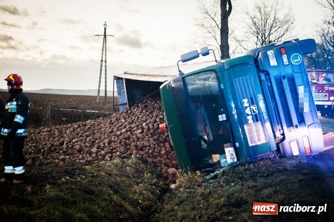 Zdjęcie w galerii na portalu naszraciborz.pl: Ciężarówka z burakami zjechała do rowu na trasie Racibórz-Bojanów  wiadomości z regionu
