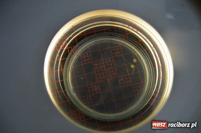 Zdjęcie w galerii na portalu naszraciborz.pl: Uczniowie klas VI z SP 4 zwiedzili Stację Uzdatniania Wody w Raciborzu  wiadomości z regionu