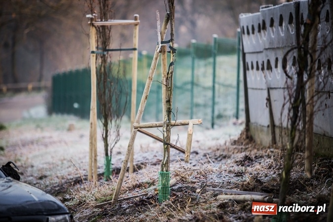 Zdjęcie w galerii na portalu naszraciborz.pl: Dachowanie audi w Brzeźnicy wiadomości z regionu