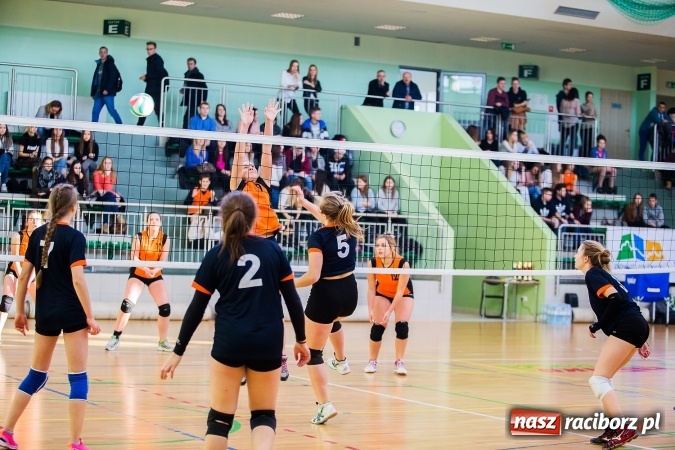 Zdjęcie w galerii na portalu naszraciborz.pl: Turniej Mikołajkowy w Piłce Siatkowej w Arenie Rafako wiadomości z regionu