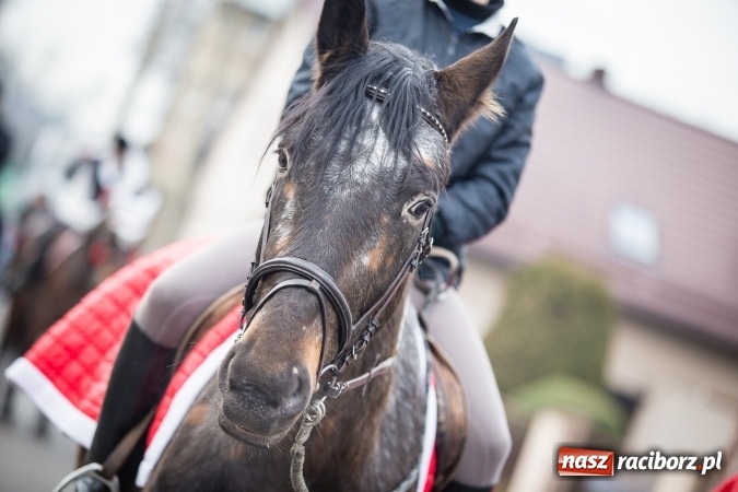 Zdjęcie w galerii na portalu naszraciborz.pl: Procesja konna ku czci św. Mikołaja w Krzanowicach wiadomości z regionu