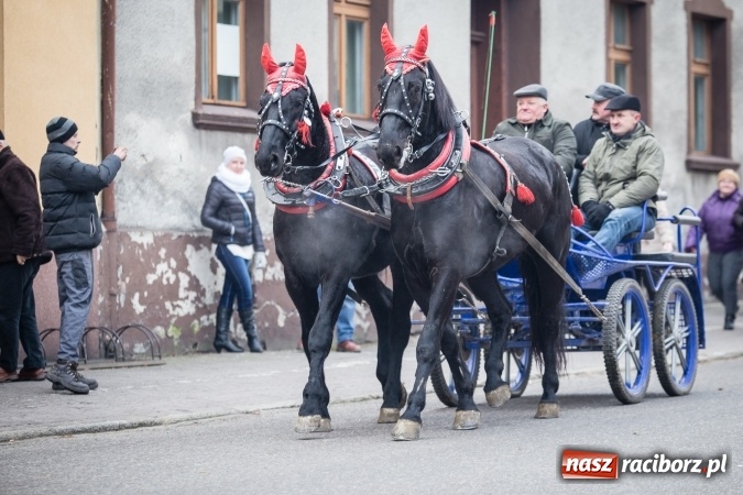 Zdjęcie w galerii na portalu naszraciborz.pl: Procesja konna ku czci św. Mikołaja w Krzanowicach wiadomości z regionu