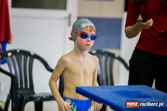 Zdjęcie w galerii na portalu naszraciborz.pl: IV Mikołajkowe Zawody Pływackie w ZSOMS wiadomości z regionu