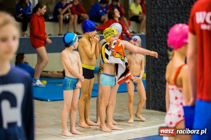 Zdjęcie w galerii na portalu naszraciborz.pl: IV Mikołajkowe Zawody Pływackie w ZSOMS wiadomości z regionu