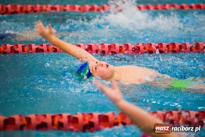 Zdjęcie w galerii na portalu naszraciborz.pl: IV Mikołajkowe Zawody Pływackie w ZSOMS wiadomości z regionu