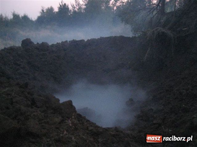 Zdjęcie w galerii na portalu naszraciborz.pl: Detonacja bomby - reportaż wiadomości z regionu