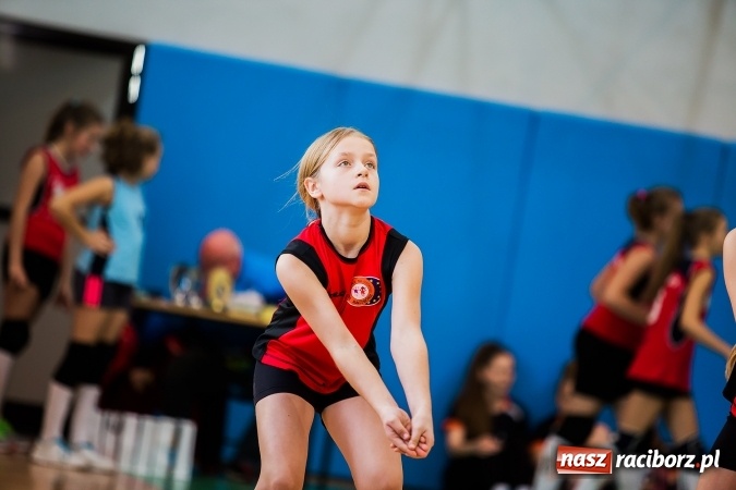 Zdjęcie w galerii na portalu naszraciborz.pl:  II Turniej Dwójek Siatkarskich Dziewcząt wiadomości z regionu