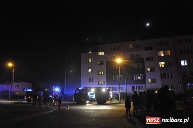 Zdjęcie w galerii na portalu naszraciborz.pl: Dwa wozy strażackie pognały na Łąkową. Ludzie zgłosili zadymienie wiadomości z regionu