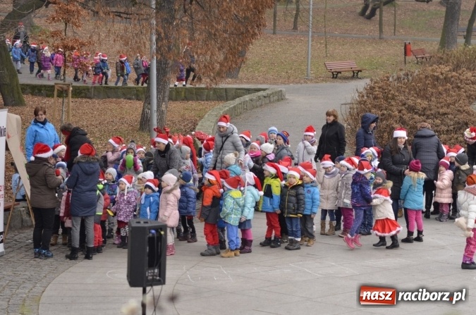 Zdjęcie w galerii na portalu naszraciborz.pl: Poszukiwany przez dzieci z Fiku-Miku i z Przedszkola nr 13 Mikołaj znalazł się w Parku Roth  wiadomości z regionu