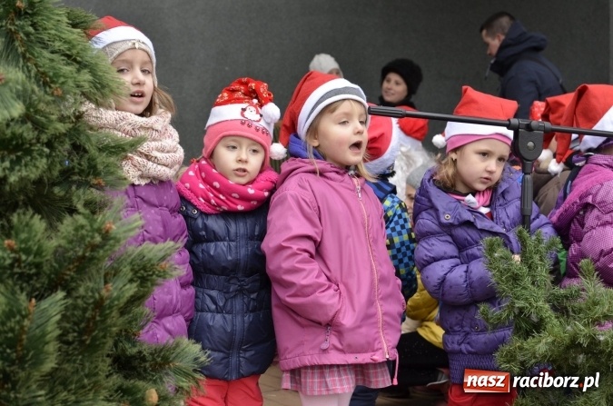 Zdjęcie w galerii na portalu naszraciborz.pl: Poszukiwany przez dzieci z Fiku-Miku i z Przedszkola nr 13 Mikołaj znalazł się w Parku Roth  wiadomości z regionu