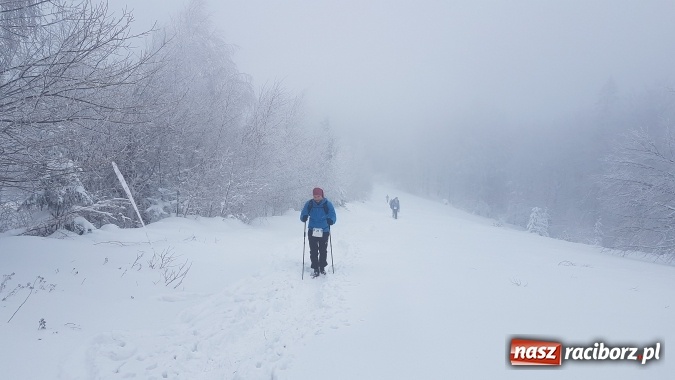 Zdjęcie w galerii na portalu naszraciborz.pl: Zimowe starty biegaczy RAFAKO S.A. wiadomości z regionu