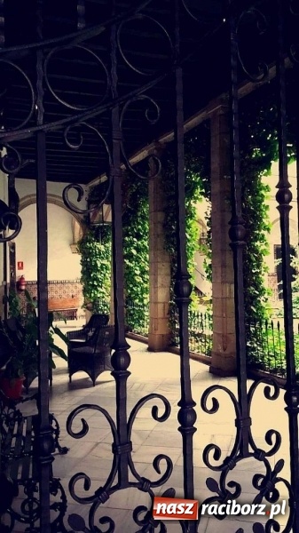 Zdjęcie w galerii na portalu naszraciborz.pl: Praktyki raciborskich logistyków i spedytorów w Hiszpanii  wiadomości z regionu