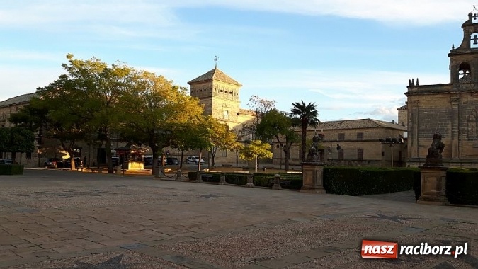 Zdjęcie w galerii na portalu naszraciborz.pl: Praktyki raciborskich logistyków i spedytorów w Hiszpanii  wiadomości z regionu