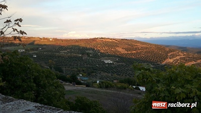 Zdjęcie w galerii na portalu naszraciborz.pl: Praktyki raciborskich logistyków i spedytorów w Hiszpanii  wiadomości z regionu
