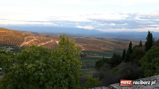 Zdjęcie w galerii na portalu naszraciborz.pl: Praktyki raciborskich logistyków i spedytorów w Hiszpanii  wiadomości z regionu