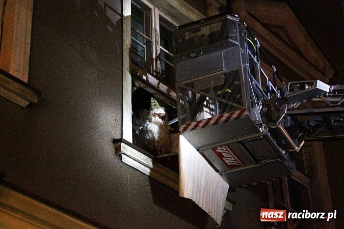 Zdjęcie w galerii na portalu naszraciborz.pl: Strażacy zapraszają na dorocznego św. Mikołaja  wiadomości z regionu