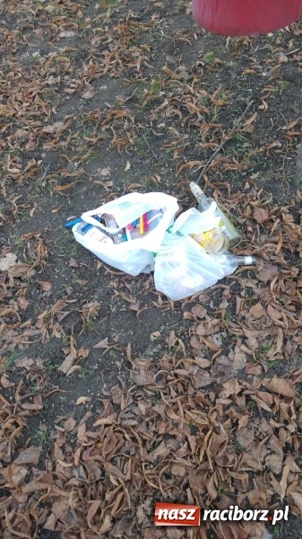 Zdjęcie w galerii na portalu naszraciborz.pl: Plac zabaw na Ocicach. Dla dzieci czy na balangi?  wiadomości z regionu