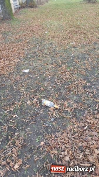 Zdjęcie w galerii na portalu naszraciborz.pl: Plac zabaw na Ocicach. Dla dzieci czy na balangi?  wiadomości z regionu