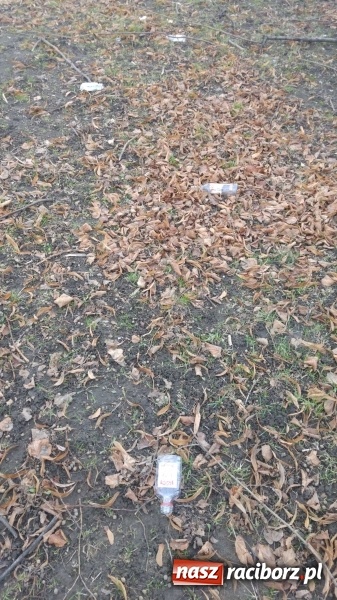 Zdjęcie w galerii na portalu naszraciborz.pl: Plac zabaw na Ocicach. Dla dzieci czy na balangi?  wiadomości z regionu