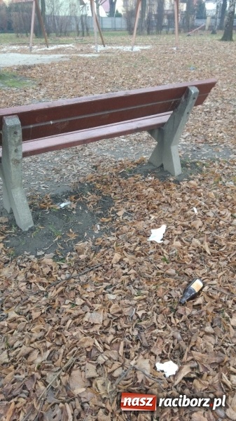 Zdjęcie w galerii na portalu naszraciborz.pl: Plac zabaw na Ocicach. Dla dzieci czy na balangi?  wiadomości z regionu