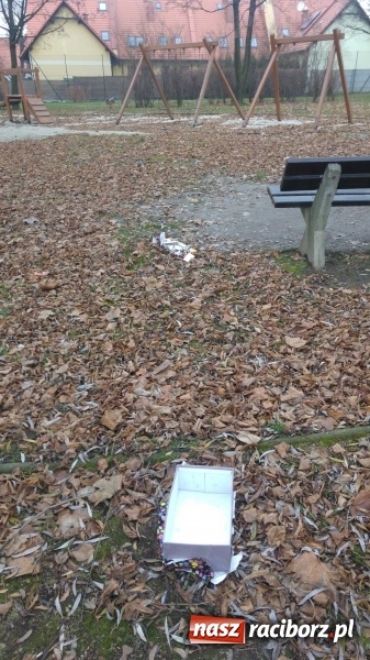 Zdjęcie w galerii na portalu naszraciborz.pl: Plac zabaw na Ocicach. Dla dzieci czy na balangi?  wiadomości z regionu