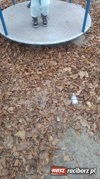 Zdjęcie w galerii na portalu naszraciborz.pl: Plac zabaw na Ocicach. Dla dzieci czy na balangi?  wiadomości z regionu