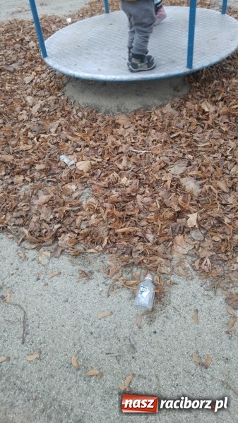 Zdjęcie w galerii na portalu naszraciborz.pl: Plac zabaw na Ocicach. Dla dzieci czy na balangi?  wiadomości z regionu