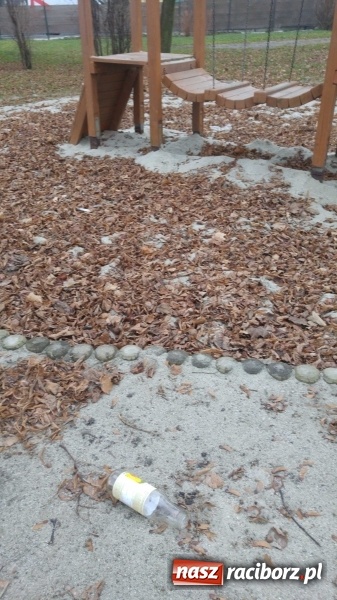 Zdjęcie w galerii na portalu naszraciborz.pl: Plac zabaw na Ocicach. Dla dzieci czy na balangi?  wiadomości z regionu